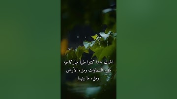 صباح الخير/تلاوة خاشعة للقاري طارق محمد( فقلت أستغفروا ربكم )طبيعة مع قطرات المطر والعصافير🤍