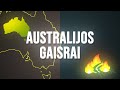 AIŠKINAM: Australijos gaisrai