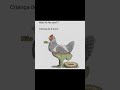 Rafa-81 #soundtrack #animation #movie #film #naofloppa #memes #euseiquevaiflopar #roblox #humor