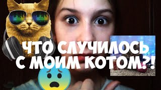 ЧТО СЛУЧИЛОСЬ С МОИМ КОТОМ САШЕЙ?!😱