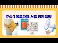 춘식이 봉투 파일! 귀여움 가득 서류 정리 끝판왕