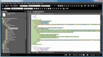 Microsoft Expression Web accordion panels add panels