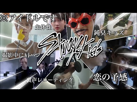 スキズ この人達 アイドルなんです StrayKids 面白集