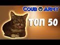 ТОП 50 Приколов с ЖИВОТНЫМИ l ЛУЧШИЕ ПРИКОЛЫ С ЖИВОТНЫМИ l Приколы с КОТАМИ