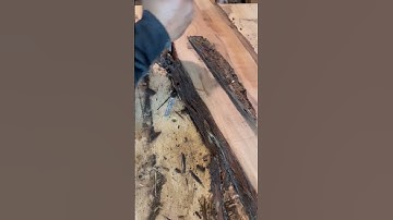 Removing more bark from this beautiful Claro Walnut slab 💪🏽🌲🙏🏽 #trending #woodworking #viral