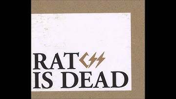 CSS (Cansei de Ser Sexy) - Rat is Dead (DEMO)