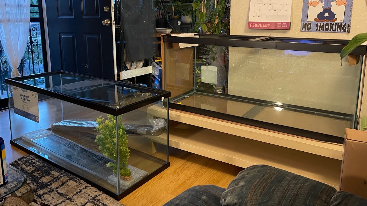 Petco vs Petsmart 75 Gallon Comparison YouTube
