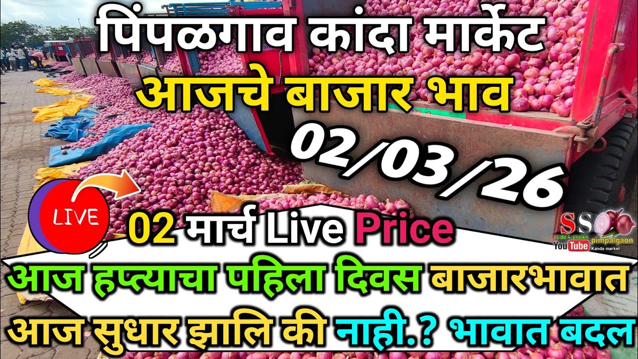 Pimpalgaon Onion Market Price Today:Latest Rates And Insights 02 march 2025