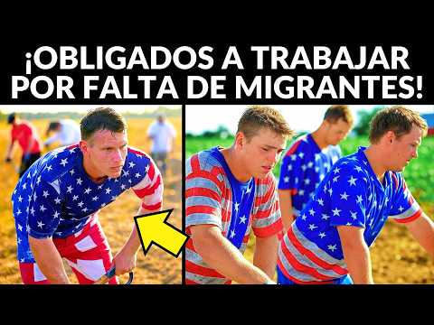 'No saben trabajar':