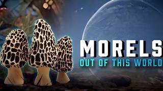 Morels: Out of This World Gameplay | Hunting Alien Mushrooms on Strange Planets