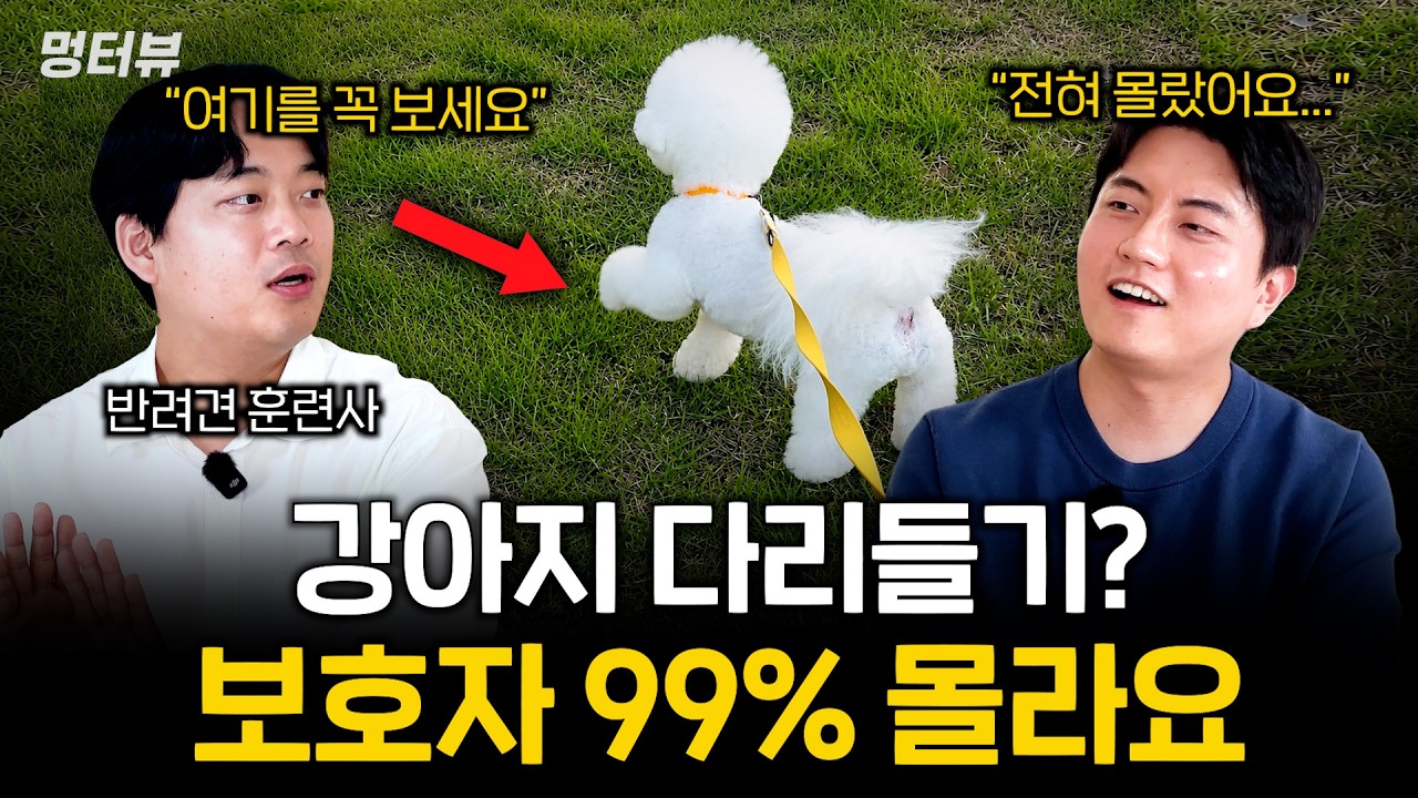 강아지 키우면 꼭 알아야 할 강아지언어 6가지 (위급한 신호들 놓치지 마세요) | 멍터뷰 ep.94