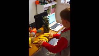 Makey Makey  Fruit Keyboard