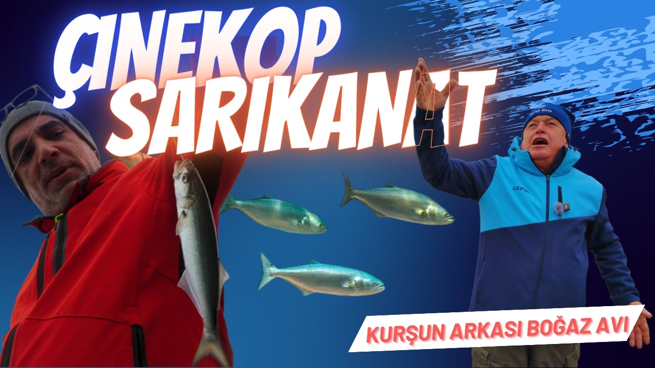 KURŞUN ARKASI ÇİNEKOP AVI REİSLERDEN TÜYOLAR .. #istanbul #balıkavı #balık #fishing #çapari #deniz