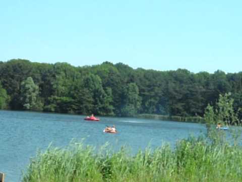 wervelwind amsterdamse bos.AVI