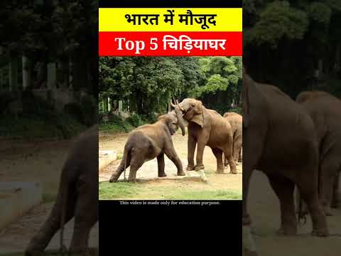 Vidéo: Description et photos du parc zoologique national - Inde : Delhi