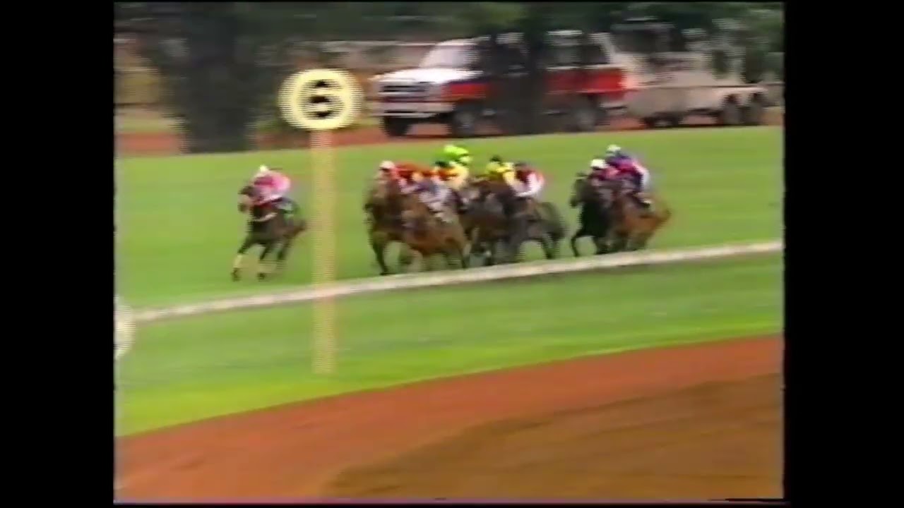 Timeless Grace - Neat n' Trim Handicap 1400m 1993 - Ridden by Greg Childs