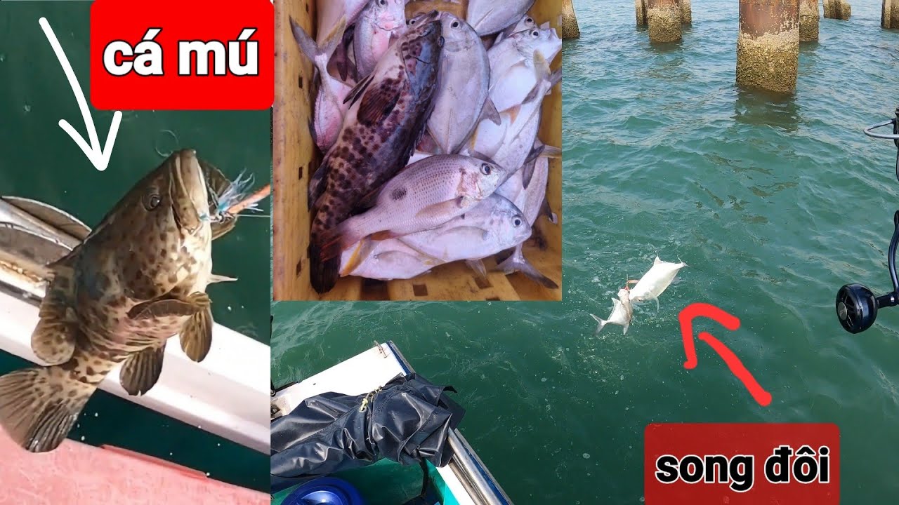 Câu cá biển,câu mini Jig Trúng đậm cá bè,cá mú,cá hồng.Câu cá gần bờ tại kè khu resort NOWA .@