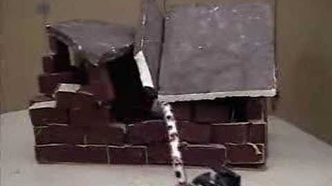 Mobile Search & Rescue - Snake robots