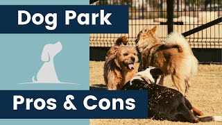 Dog Park Pros and Cons
