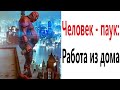 Приколы! ЧЕЛОВЕК – ПАУК: РАБОТА ИЗ ДОМА! Смешные видео – Доми шоу