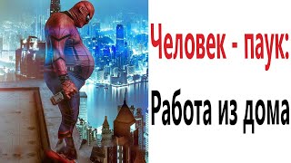 Приколы! ЧЕЛОВЕК - ПАУК: РАБОТА ИЗ ДОМА! Смешные видео - Доми шоу