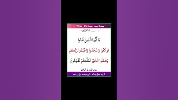 سورة الحج - سورة 22 - اية (77)