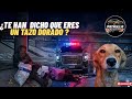 🚨PATRULLA E.BELICA  | ¿CREES QUE TIENES PROBLEMAS? VIVE SU VIDA SOLO UNA NOCHE.🥹🙏