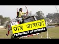 Ghode jatra  festivals of horses  inner nepal  horse parade  festivals of nepal  demon tundi