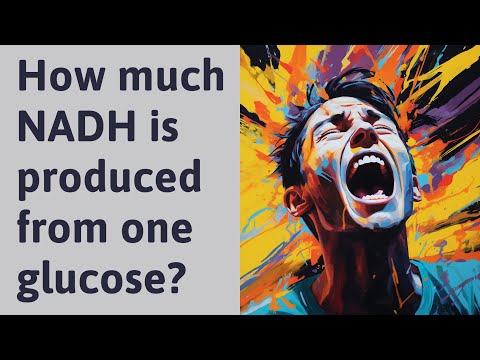 Video: Hoeveel NADH's word gevorm?