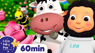 ring around the rosy more nursery rhymes and kids songs little baby bum