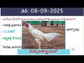 08 September 2025 today winning colours/Today winning colours /vision of kukkuta sastram in colours
