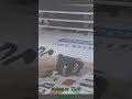 Khabib The EAGLE