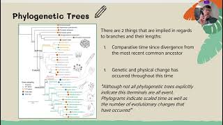 4.2.5 - Phylogenetic Trees