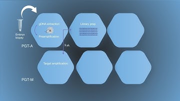 Combined Preimplantation Genetic Testing Workflow