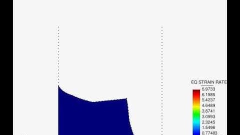 PFEM - 3b bingham esr
