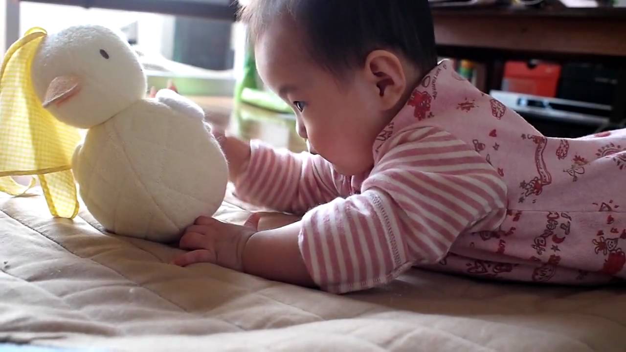 040 生後7ヶ月5日赤ちゃん ポロンちゃんと うつぶせ練習 7 Month Old Baby Youtube