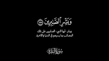 «وبشر الصابرين» تلاوة تحبيرية من سورة البقرة بصوت محمد عباس | كروما شاشة سوداء