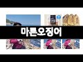 마른오징어 추천 BEST 3  식품 올해인기상품
