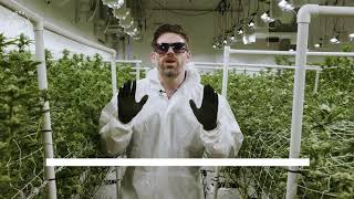 METRC Seed-to-Sale is coming to Oklahoma | Smokey Okies Cannabis is Ready to Comply