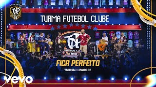 Fica Perfeito (Ao Vivo) - Turma do Pagode