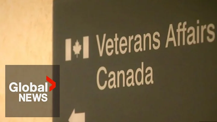 Veterans Affairs Canada: Agent involved in MAID controversy no longer employed - DayDayNews