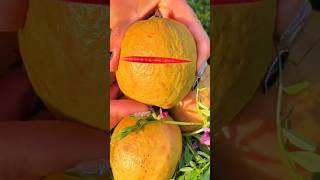 Rarest Fruits in India 🧐#shorts #fruit #facts