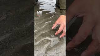 Digging up razor clams 😮