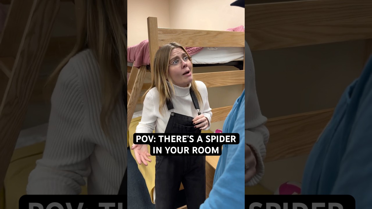 spiders are good for the world. protect them.