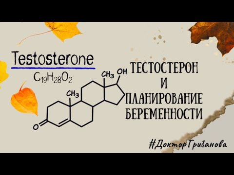 ТЕСТОСТЕРОН и ПЛАНИРОВАНИЕ БЕРЕМЕННОСТИ
