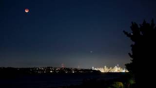 Rosie Carney - Your Moon