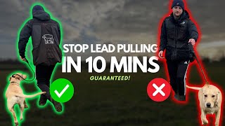 Dog Training Secrets To Stop PULLING On The Lead. GUARANTEED RESULTS!