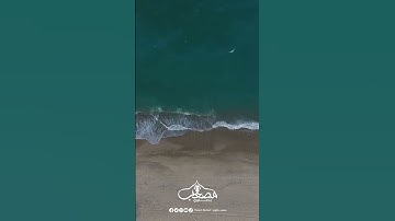 مقتطفات من صلاة التراويح تاسع ليلة من رمضان _2023 #تلاوة_مميزة #سورة_البقرة #صلاة_التراويح #رمضان