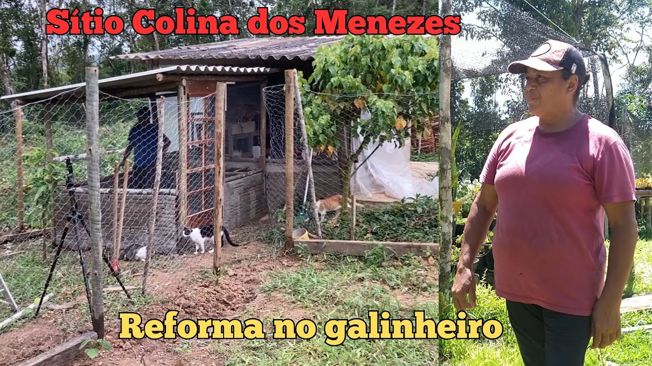 Sítio Colina dos Menezes - Reformando nosso galinheiro e finalizando o piquete das galinhas