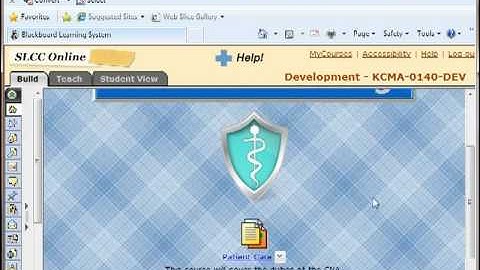 Customizing Blackboard Vista Course Part 2
